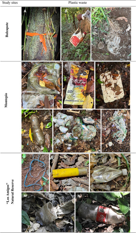 Microplasticos Monos Aulladores Veracruz