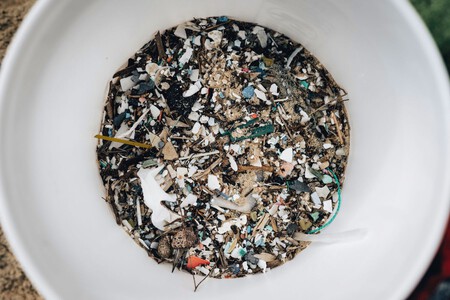 Monos Aulladores Veracruz Microplasticos Xataka Mexico 1