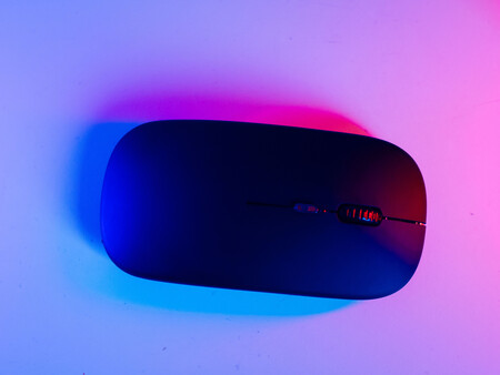 Mouse