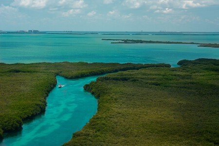 Manglares Quintana Roo