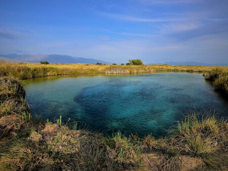 Agua Cuatro Cienegas